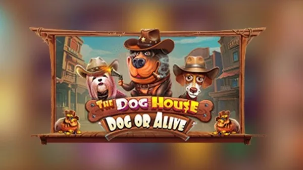 recensione della the-dog-house-dog-or-alive
